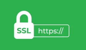 Secure socket layer logo